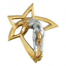 Aplique Estrela Dourada - Ginástica Feminina